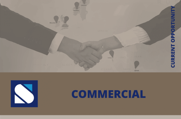 Tender Engineer / Engenheiro de Orçamentação  - Steconfer