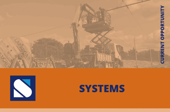 Gestor de Projeto / Project Manager - Steconfer