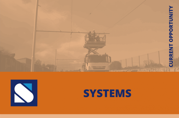 Gestor de Projeto / Project Manager - Steconfer