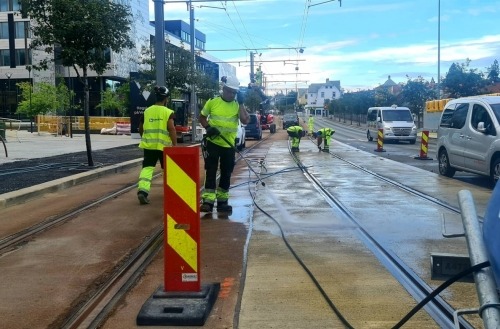 PHOTO-2021-08-08-08-50-58