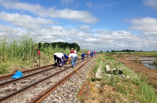 Steconfer - Sena Line (15)